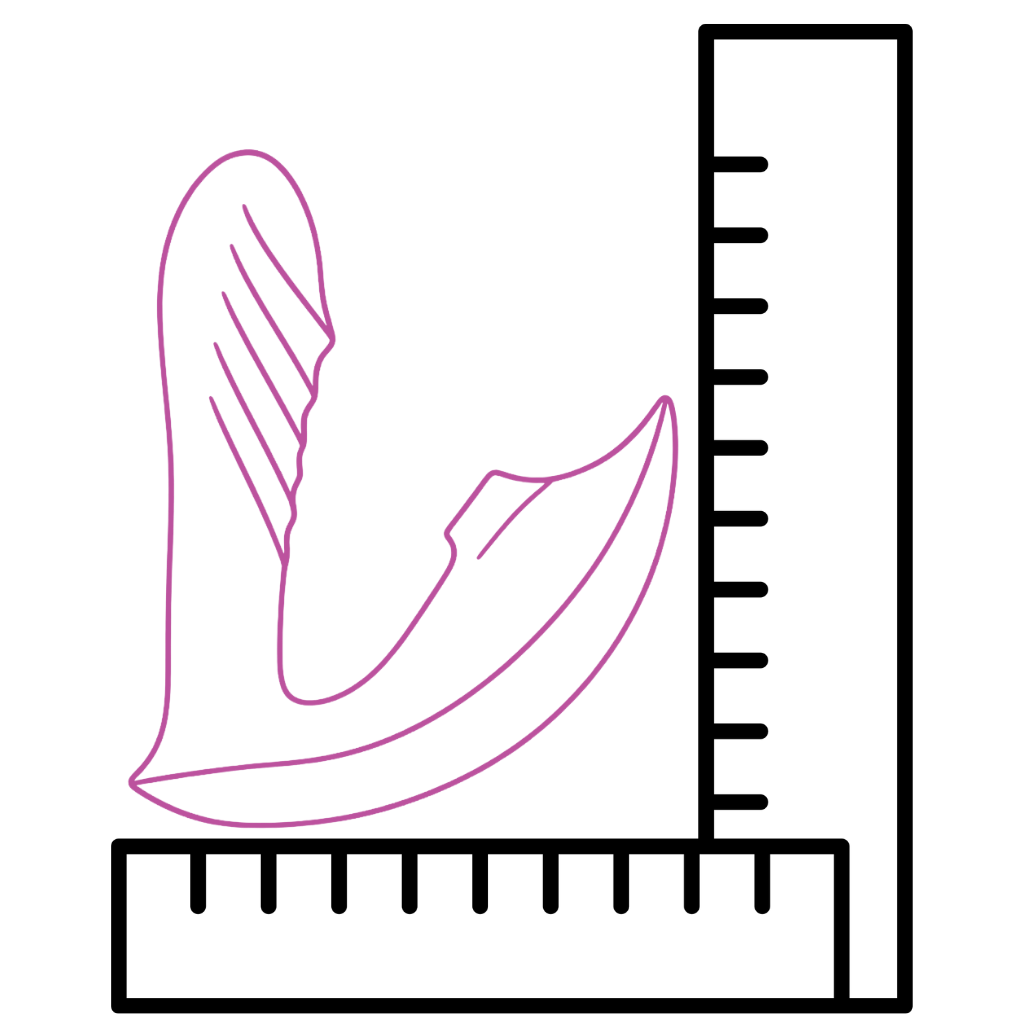 Clit suction vibrator with a ruler for scale on a white background